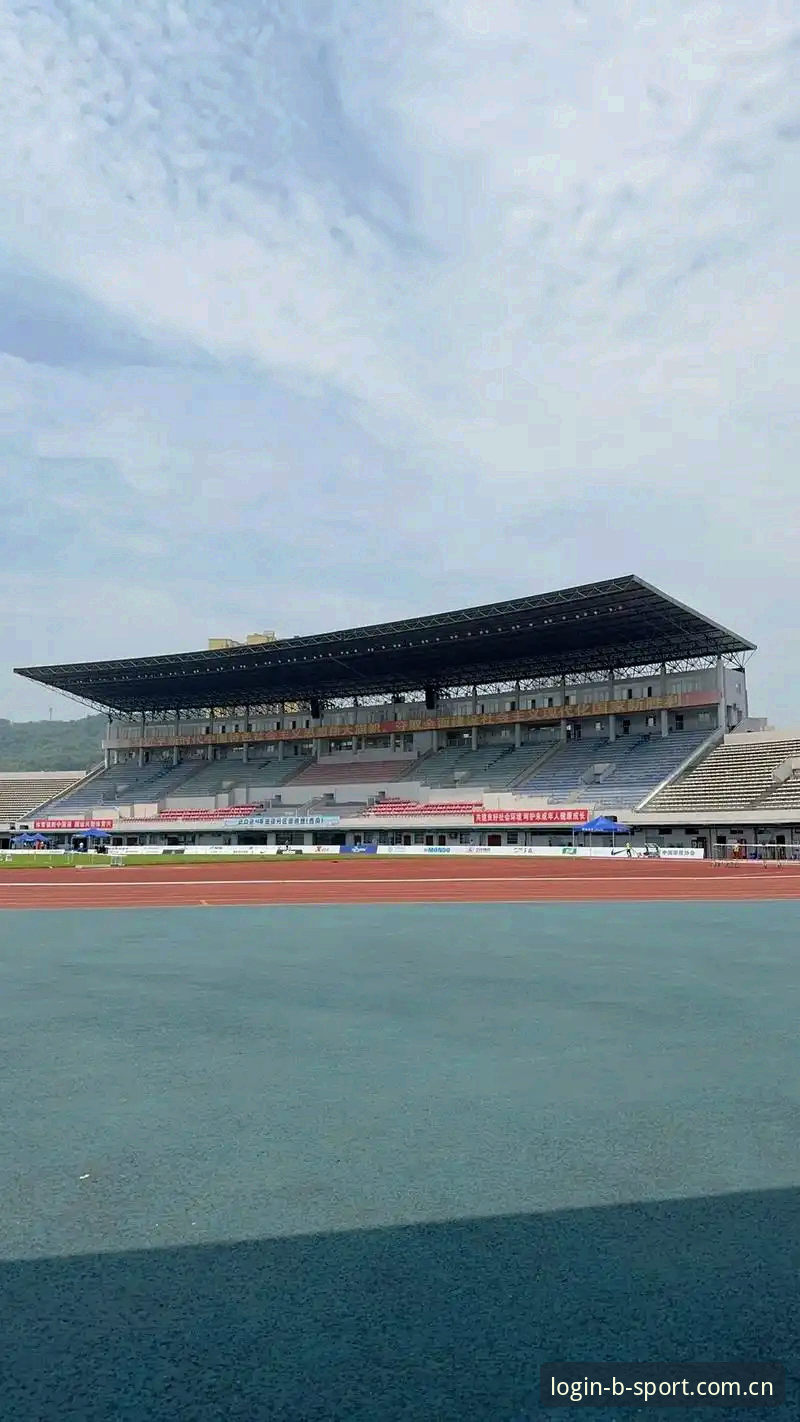 bsport体育平台2024全面评测：从登录入口到赛事数据的深度体验报告